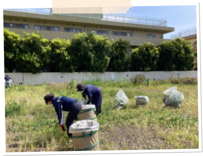 除草作業